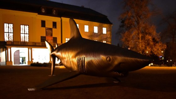 clanek_Sedmimetrový žralok na zámku. Zlínská galerie vystavuje sochy Michala Gabriela